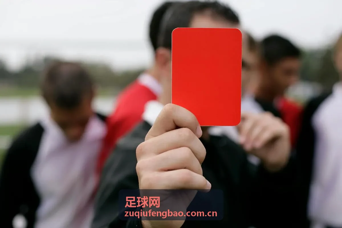 足球网数据深度解读